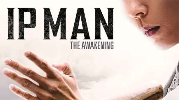 Ip Man: The Awakening Screenshot