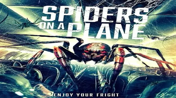 Spiders on a Plane Screenshot