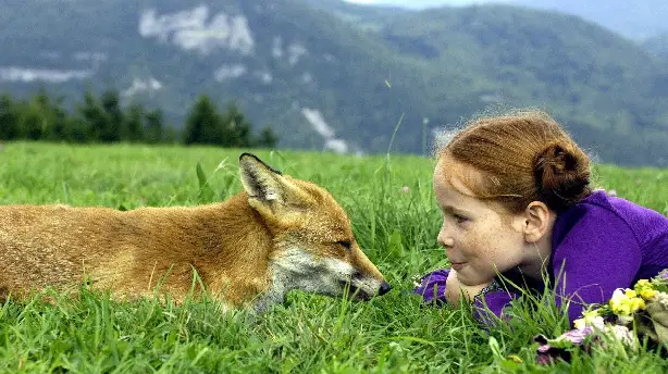 Der Fuchs und das Mädchen Screenshot