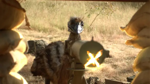 The Emu War Screenshot