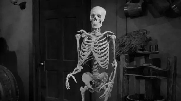 The Lost Skeleton of Cadavra Screenshot