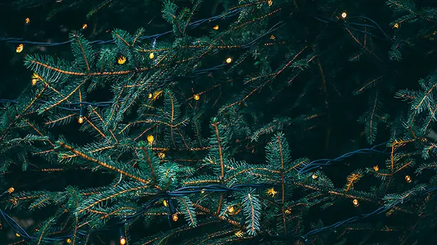 Christmas Lights Screenshot