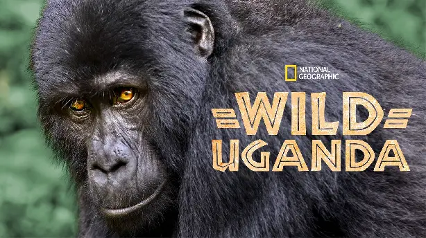 Wildes Uganda Screenshot