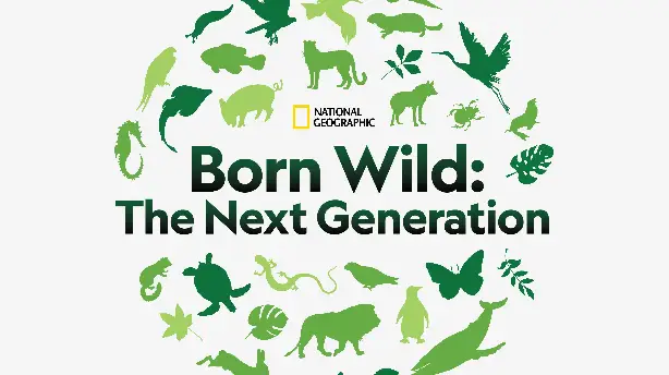 Born Wild: The Next Generation Screenshot