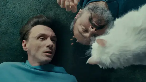 Koty na szkle Screenshot