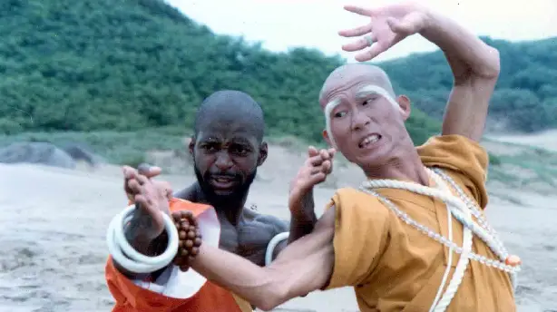 Shaolin Dolemite Screenshot