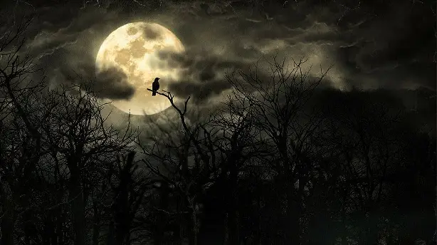 Die Nacht der Wölfe Screenshot