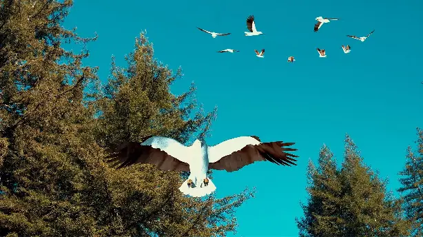 Birdemic 3: Sea Eagle Screenshot