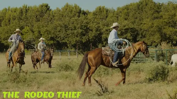 The Rodeo Thief Screenshot