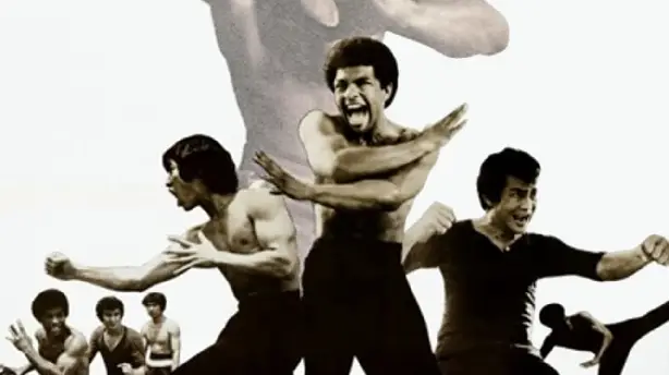 Bruce Lee - Sein tödliches Erbe Screenshot