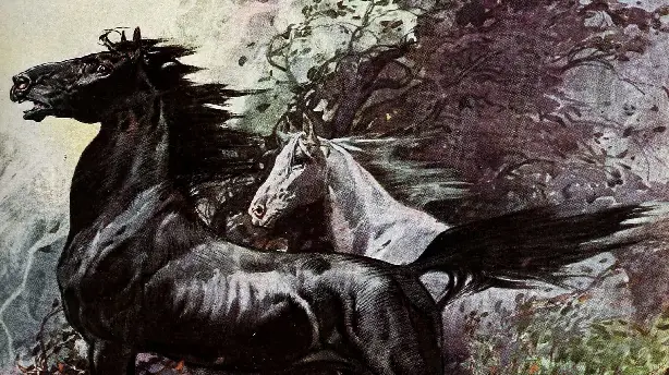 King of the Wild Horses Screenshot