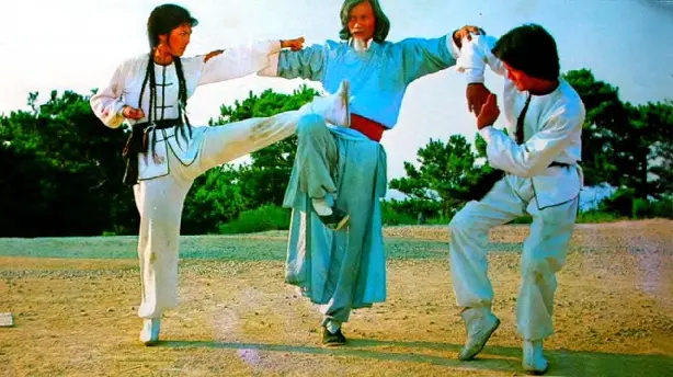 Twins of Kung Fu Screenshot