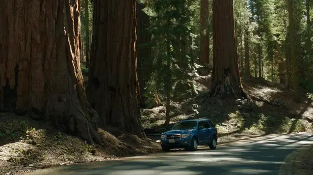 Sequoia Screenshot