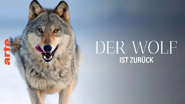 Wilder Grenzgänger - Der Wolf ist zurück Screenshot