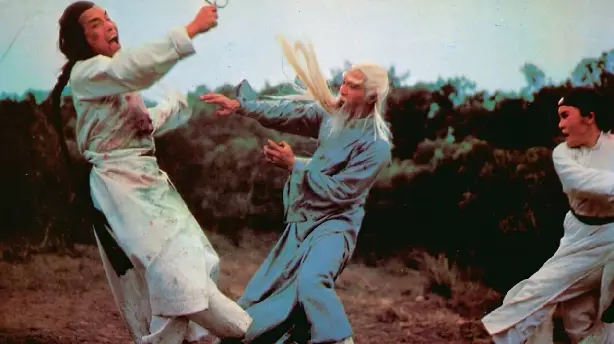 Rebell der Shaolin Screenshot