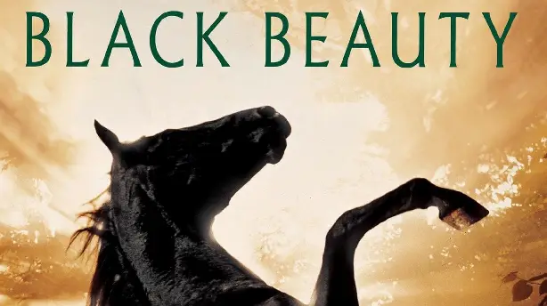 Black Beauty Screenshot