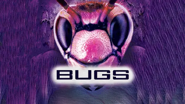 Bugs - Die Killer-Insekten Screenshot