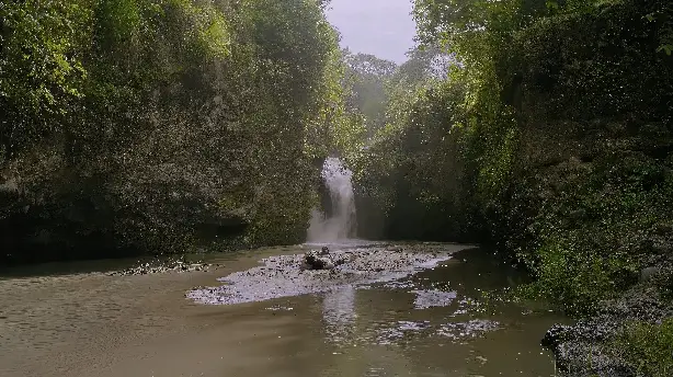 Salikmata Screenshot