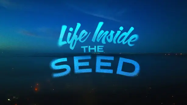 Life Inside the Seed Screenshot