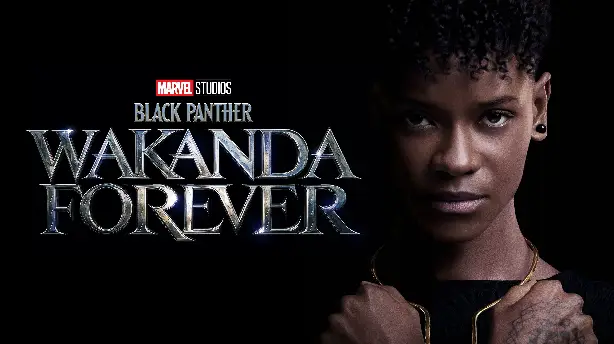 Black Panther: Wakanda Forever Screenshot