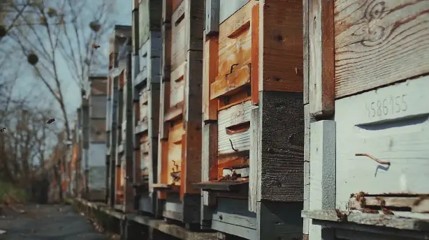 Egy év a méhesben Screenshot