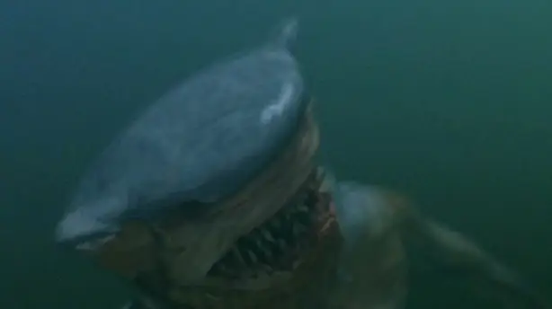 Sharkman - Schwimm um dein Leben Screenshot