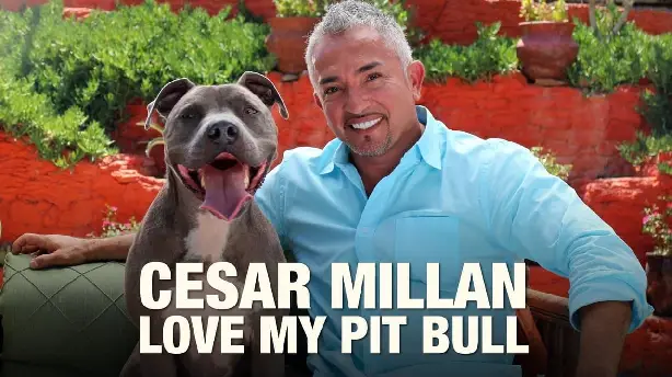 Cesar Millan: Love My Pit Bull Screenshot