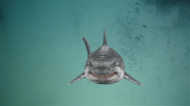 Jurassic Shark 2: Aquapocalypse Screenshot
