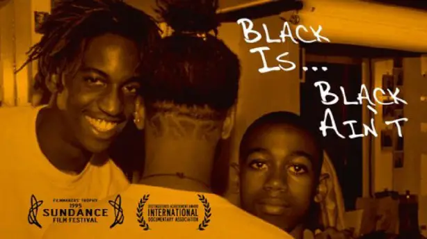 Black Is… Black Ain’t Screenshot