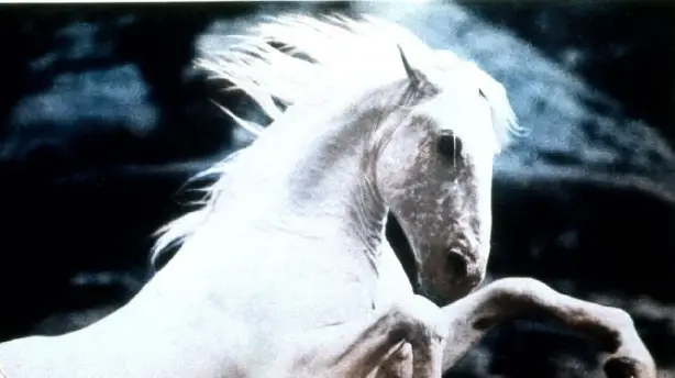 Silver Stallion Screenshot