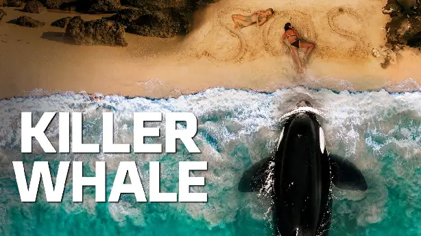 Killerwal Screenshot