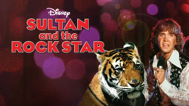 Sultan and the Rock Star Screenshot