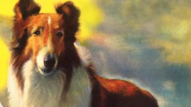 Lassie und die Goldgräber Screenshot