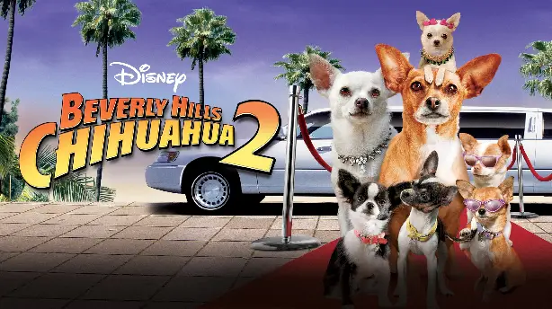 Beverly Hills Chihuahua 2 Screenshot