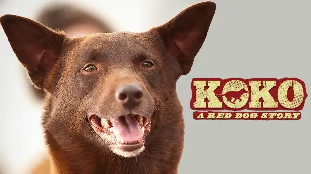 Koko: A Red Dog Story Screenshot