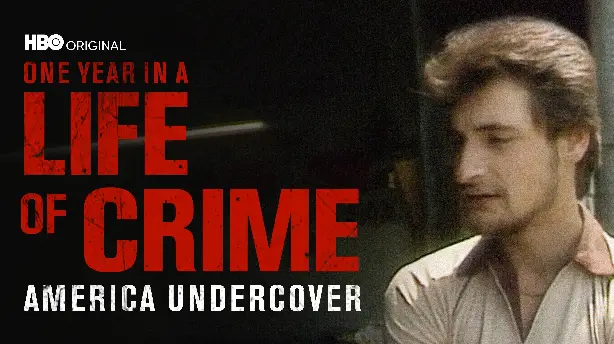 One Year in a Life of Crime Screenshot
