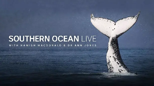 Southern Ocean Live Screenshot