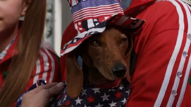 Wiener Dog Internationals Screenshot