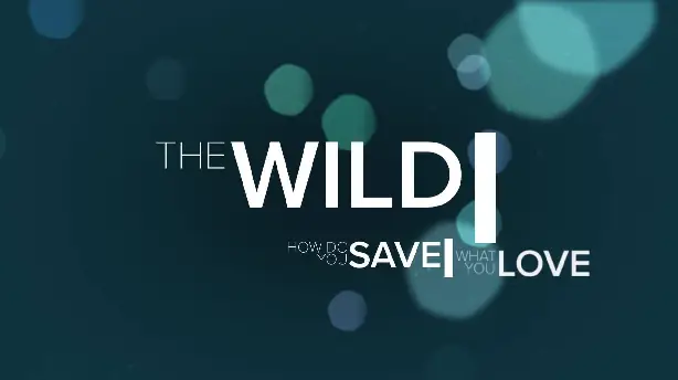 The Wild Screenshot