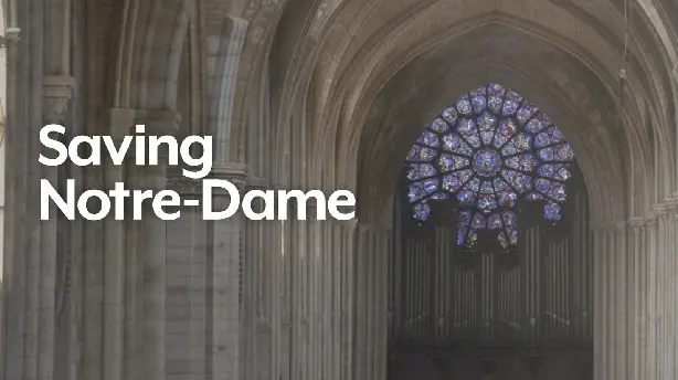 Saving Notre Dame Screenshot