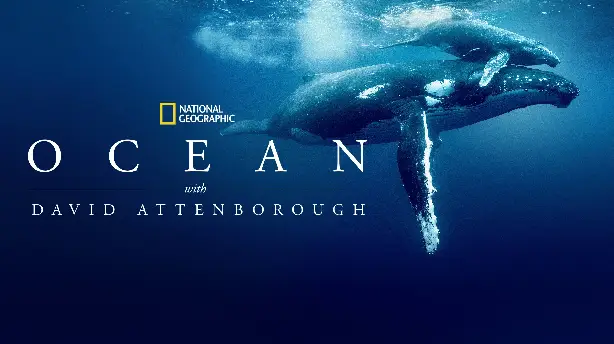 Ozean mit David Attenborough Screenshot