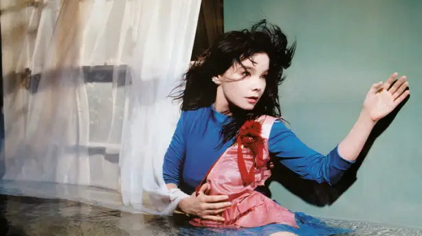 Inside Björk Screenshot