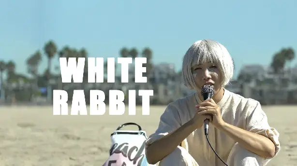 White Rabbit Screenshot