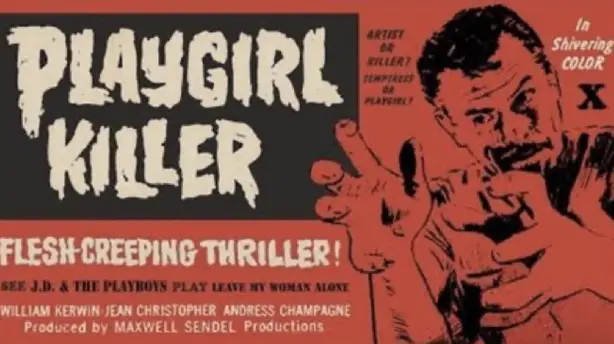 Playgirl Killer Screenshot