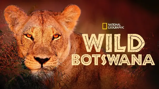 Wildes Botswana Screenshot