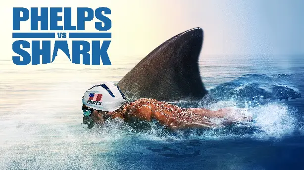 Phelps vs Shark Screenshot
