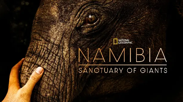 Namibia, Sanctuary of Giants Screenshot