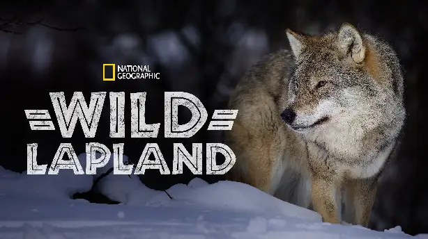 Wild Lapland Screenshot