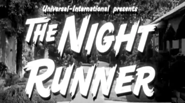 The Night Runner Screenshot