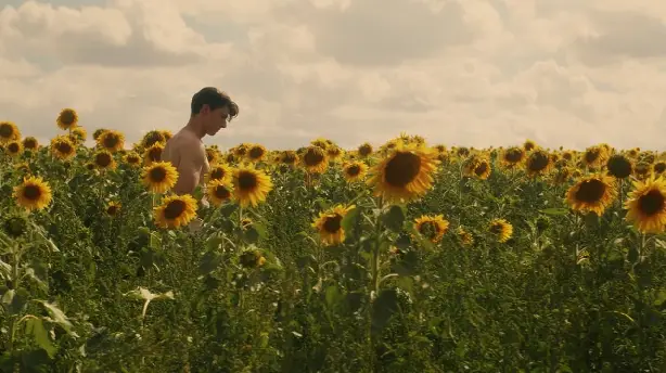 Sunflower Screenshot